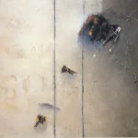 2000 du 18 avril au 13 mai Franck Duminil Traces et sillages carton 200x200 acf cropped