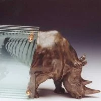 2001 Transparences animales 13 mars 7 avril 200x200 acf cropped