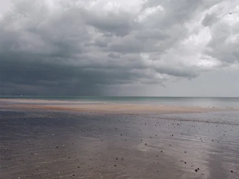 Tim Hall, Bognor III