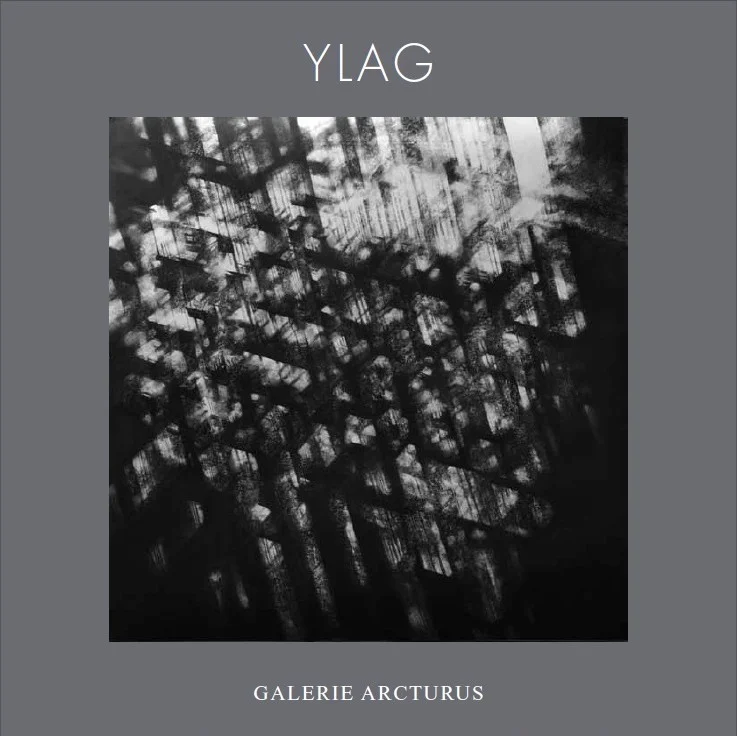 2011 du 15 mars au 16 avril YLAG Archipels catalogue
