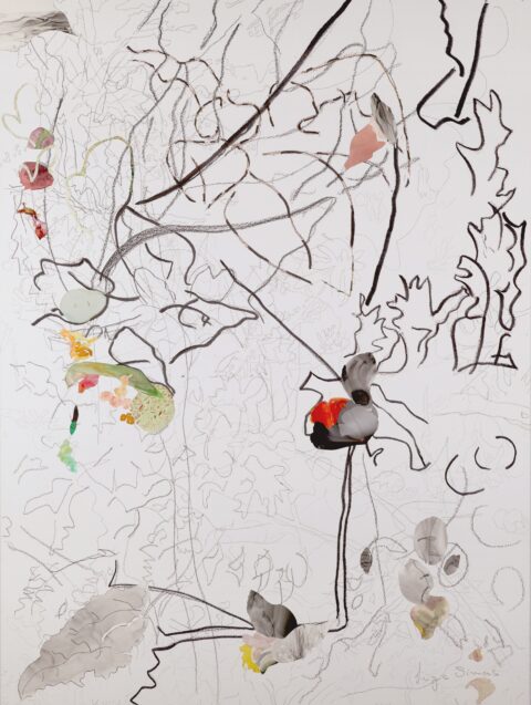 Luzia SIMONS, LANDINGS 03